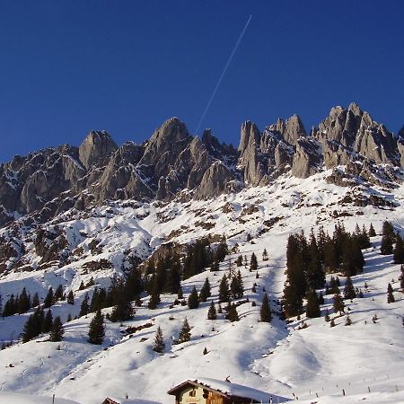 Appartementhaus Hochkoenig 1- Birgkar Mühlbach am Hochkönig Eksteriør billede