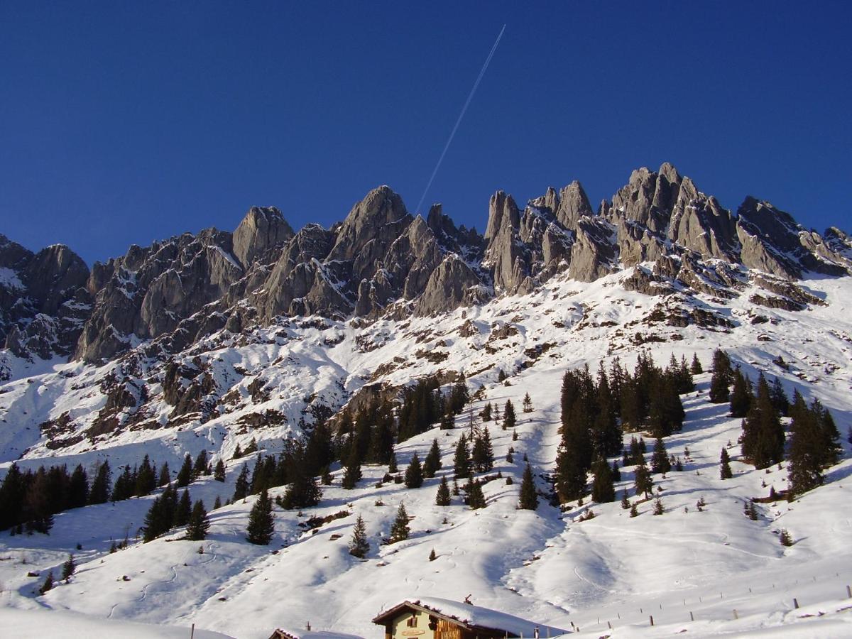 Appartementhaus Hochkoenig 1- Birgkar Mühlbach am Hochkönig Eksteriør billede